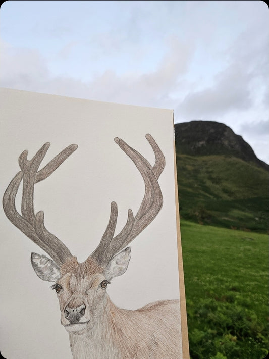 Velvet Stag - original artwork