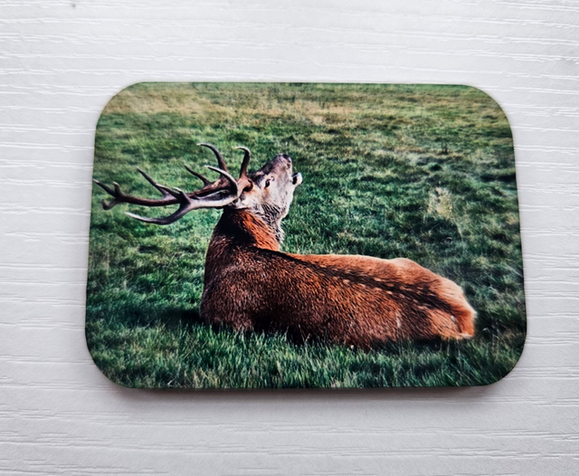 Lochranza Views | Magnets