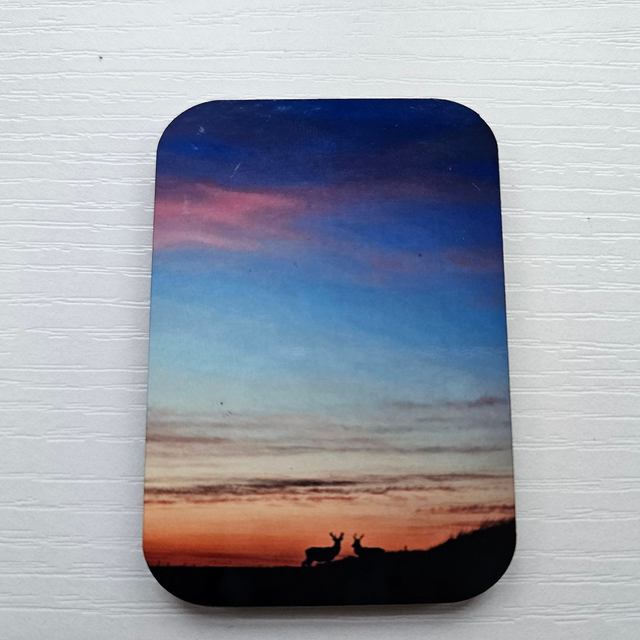 Lochranza Views | Magnets