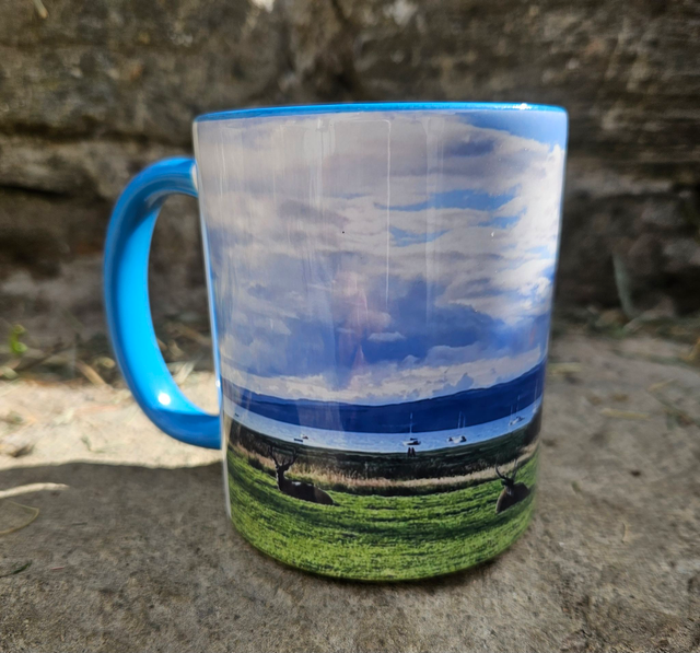Lochranza Views | Coloured Mugs