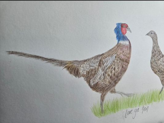 Love ya Hen | Pheasant and hen original artwork