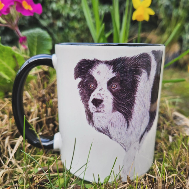 11oz Coloured Mugs