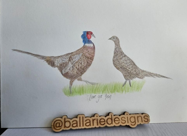 Love ya Hen | Pheasant and hen original artwork