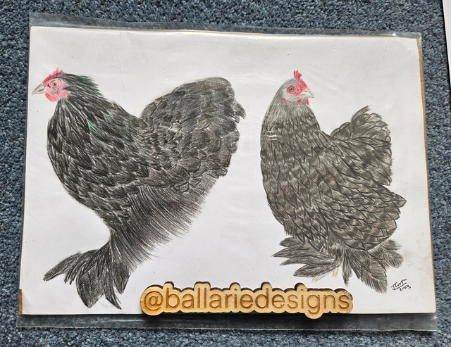 Original Artwork : Betty and Speckle