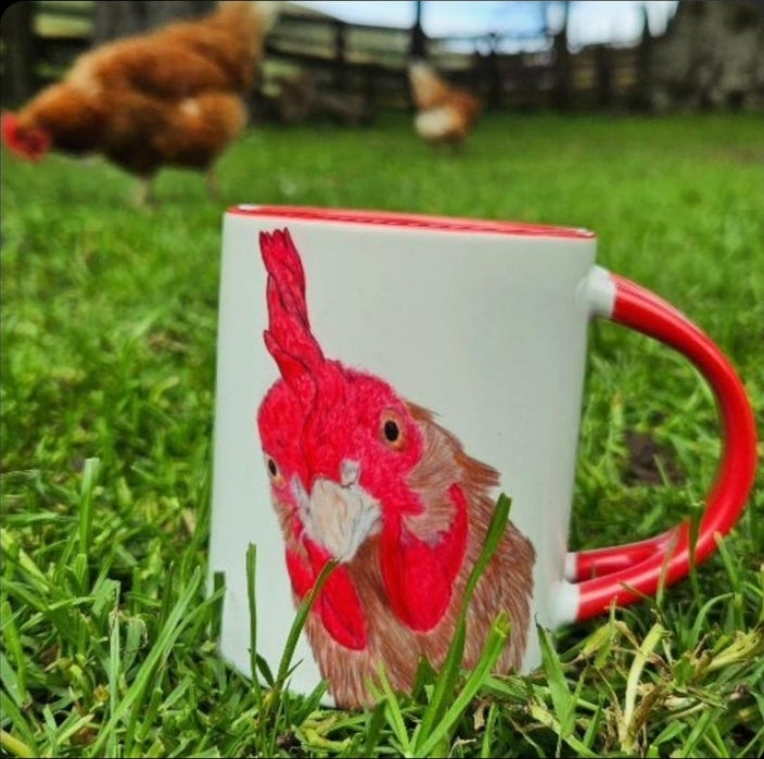 11oz Coloured Mugs