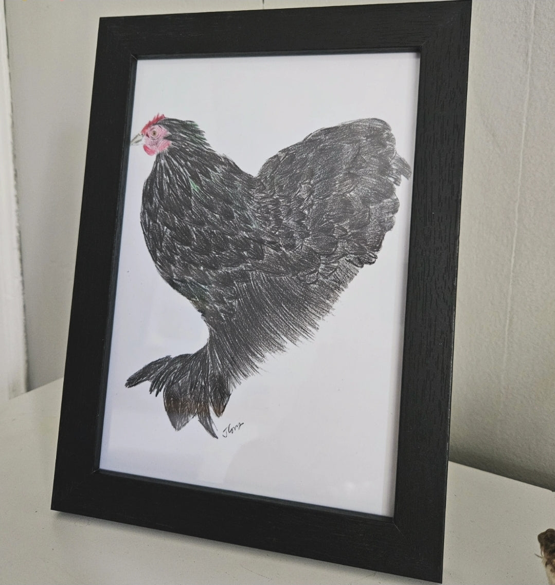 Betty the Bantam - A5 Framed Print