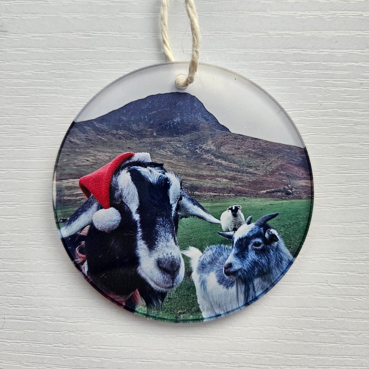 Christmas Hanging Decorations