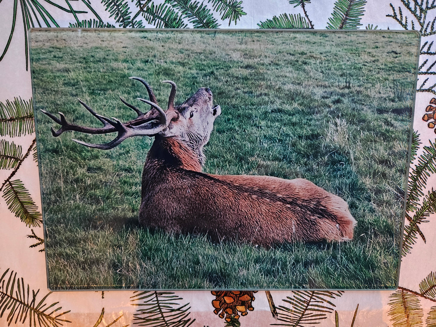 Lochranza Views | Chopping Boards