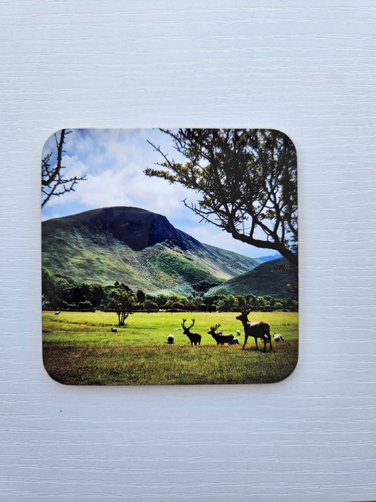 Lochranza Views Coasters