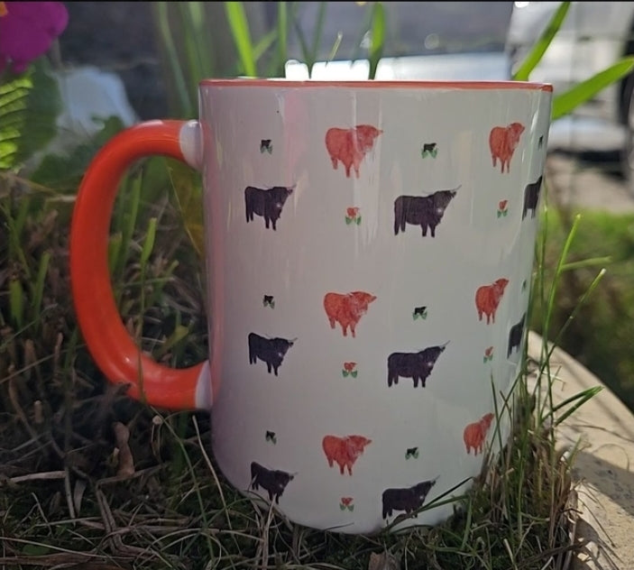 11oz Coloured Mugs