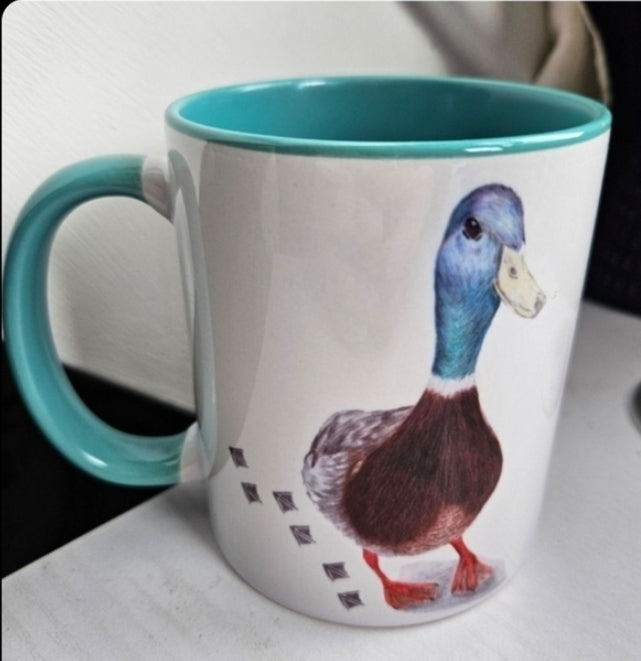11oz Coloured Mugs