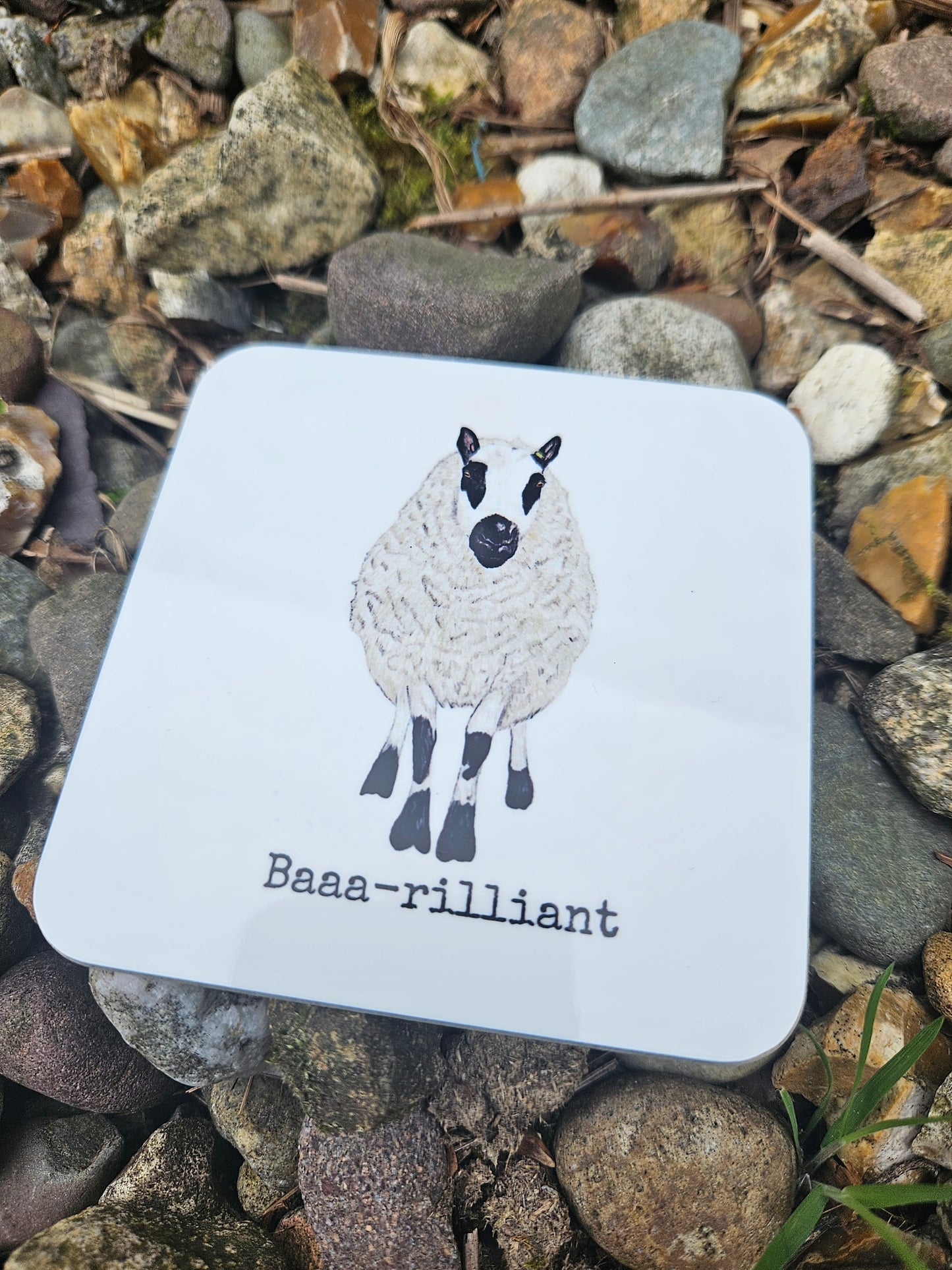 Coasters