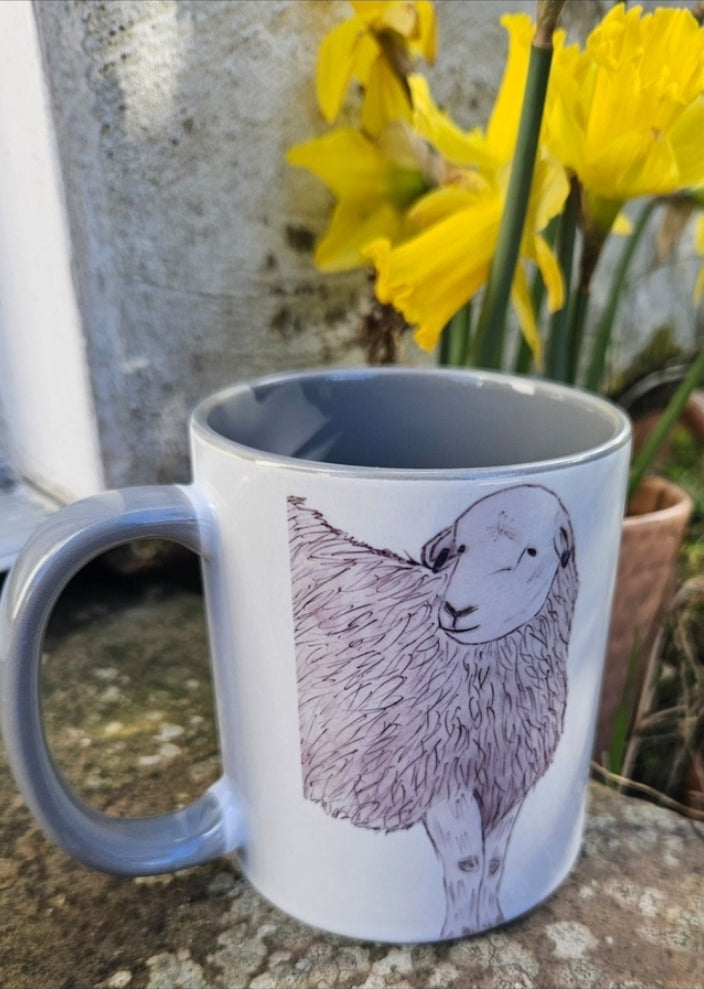 11oz Coloured Mugs