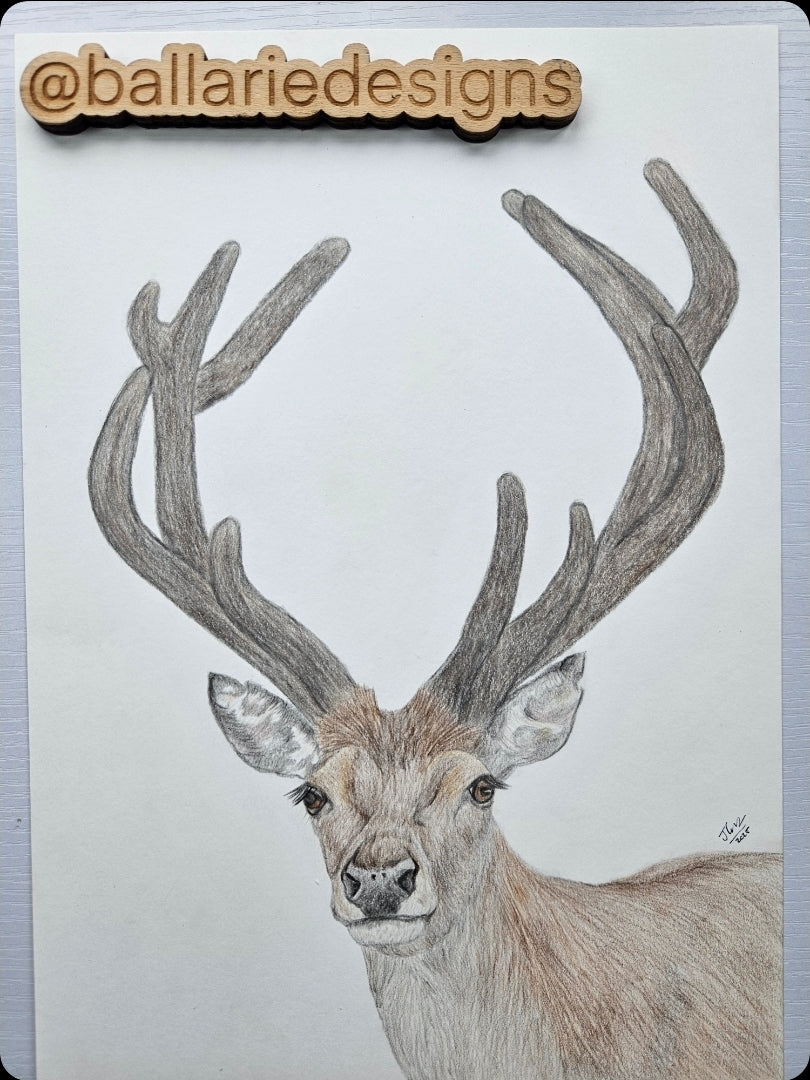 Velvet Stag - original artwork