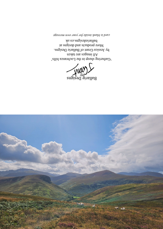 Gathering sheep in the Lochranza hills -Greeting Card