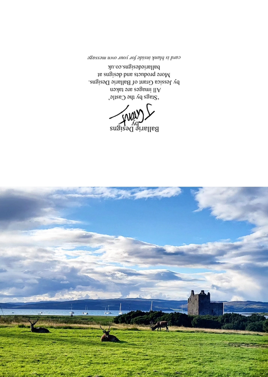 Stags by the Castle- Greeting Card