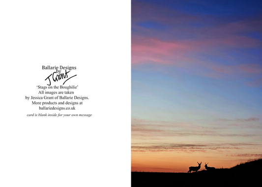 Stags on the Bogilie -Greeting Card