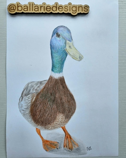Desmond Duck - Original Artwork