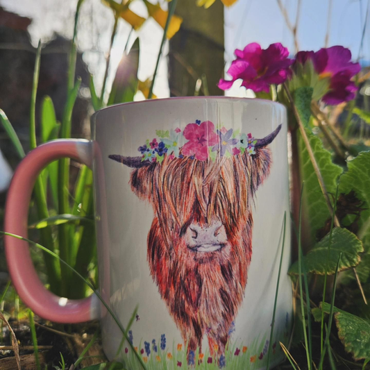11oz Coloured Mugs