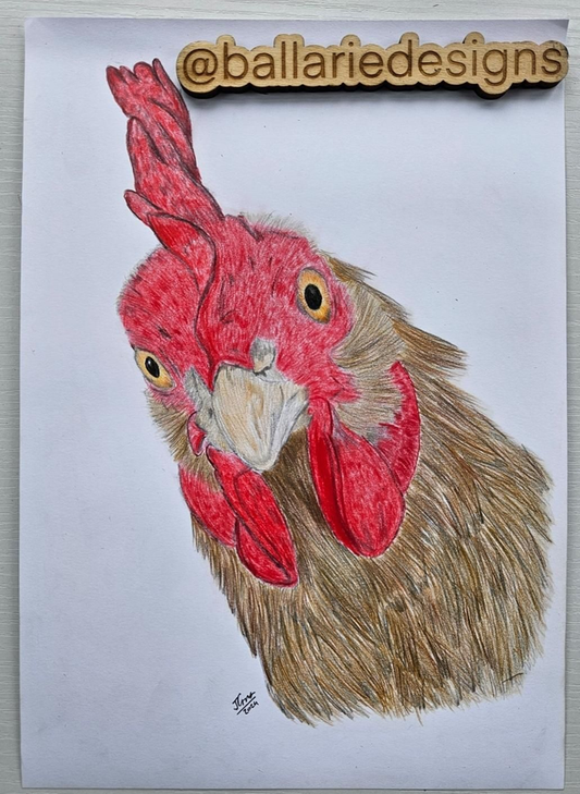 Cheeky chook - Original drawing