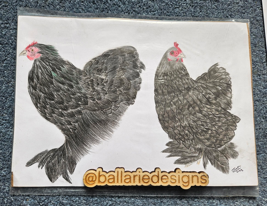 Original Artwork : Betty and Speckle
