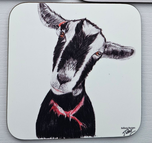 Coasters