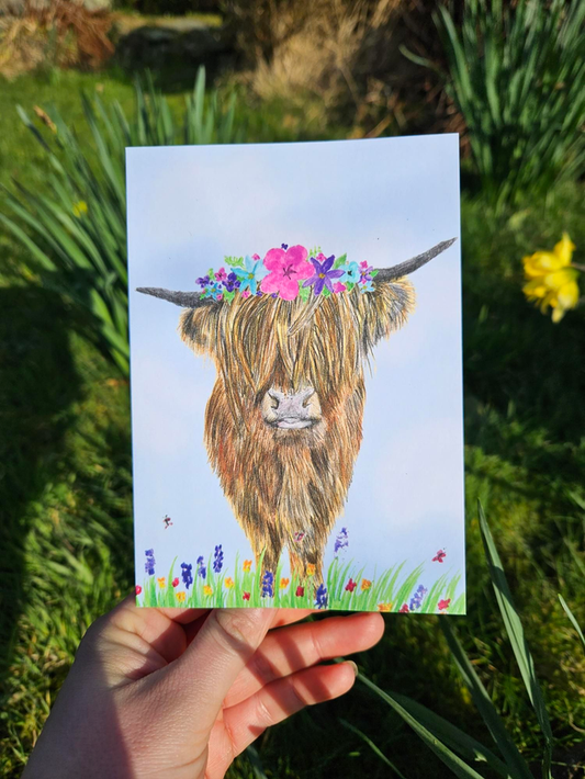 Greetings Cards