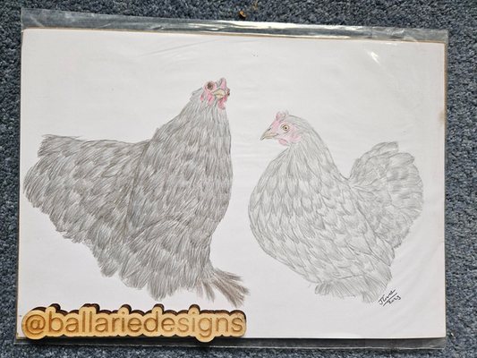 Original Chickens Artwork- Silvie and Grey