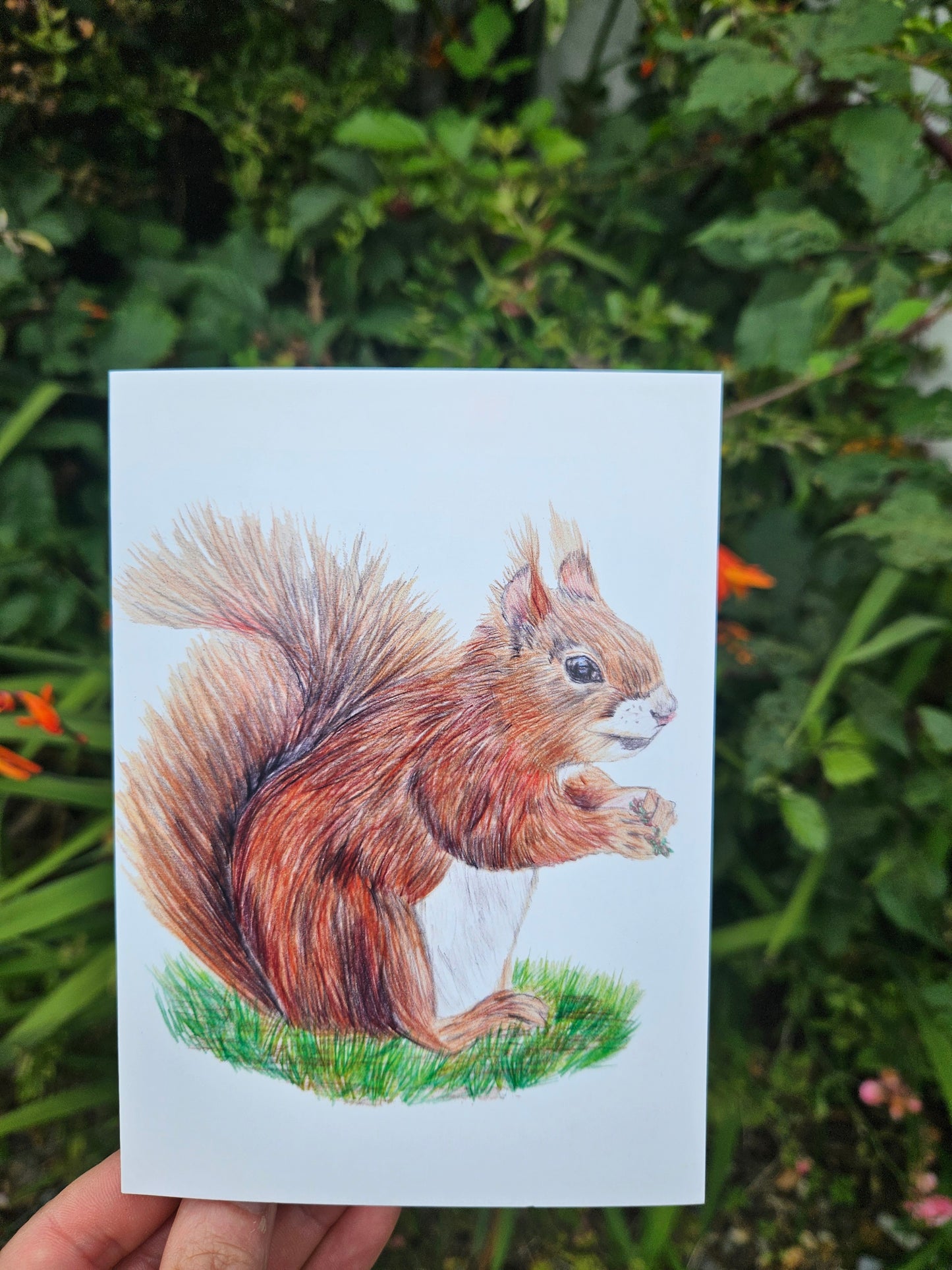 Greetings Cards