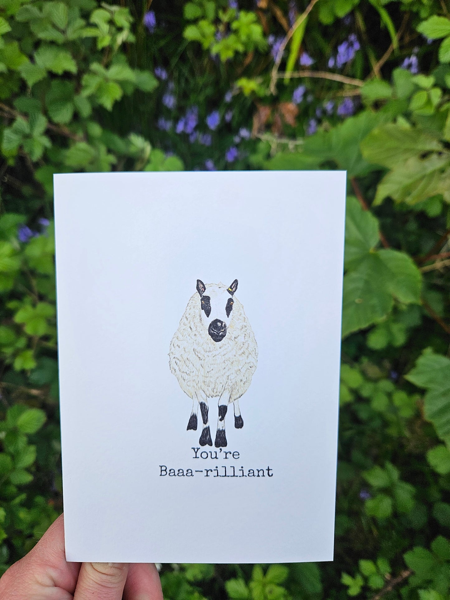 You're Baaa-rilliant - Luxury Greetings Card