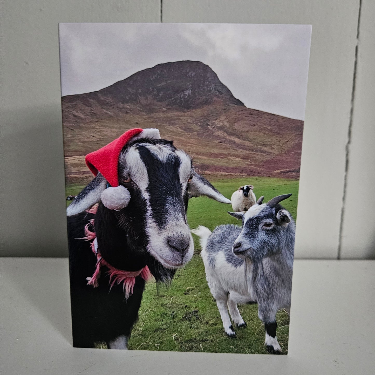 Christmas Cards