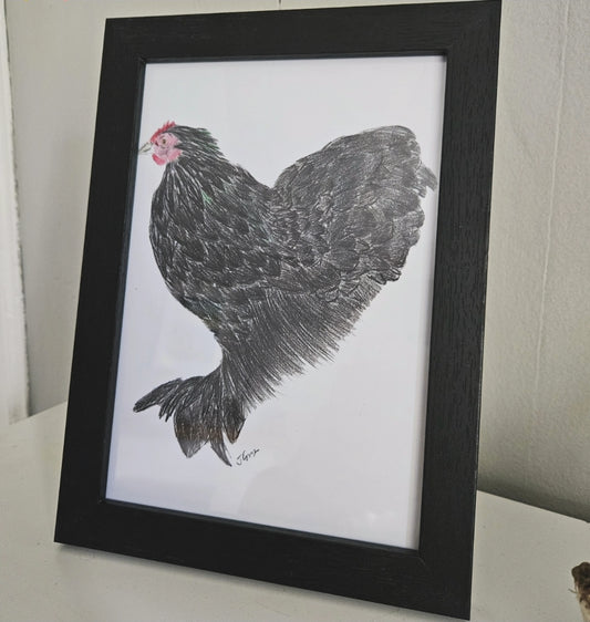 Betty the Bantam - A5 Framed Print
