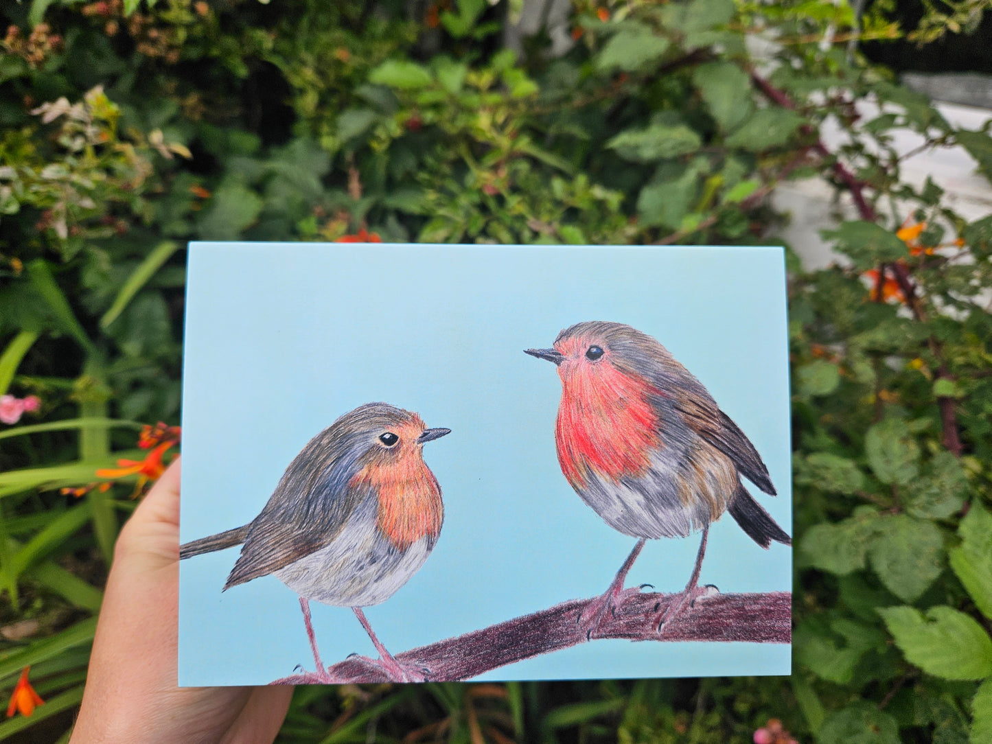 Greetings Cards
