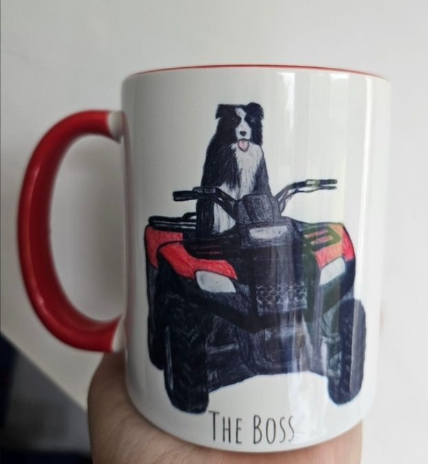 11oz Coloured Mugs