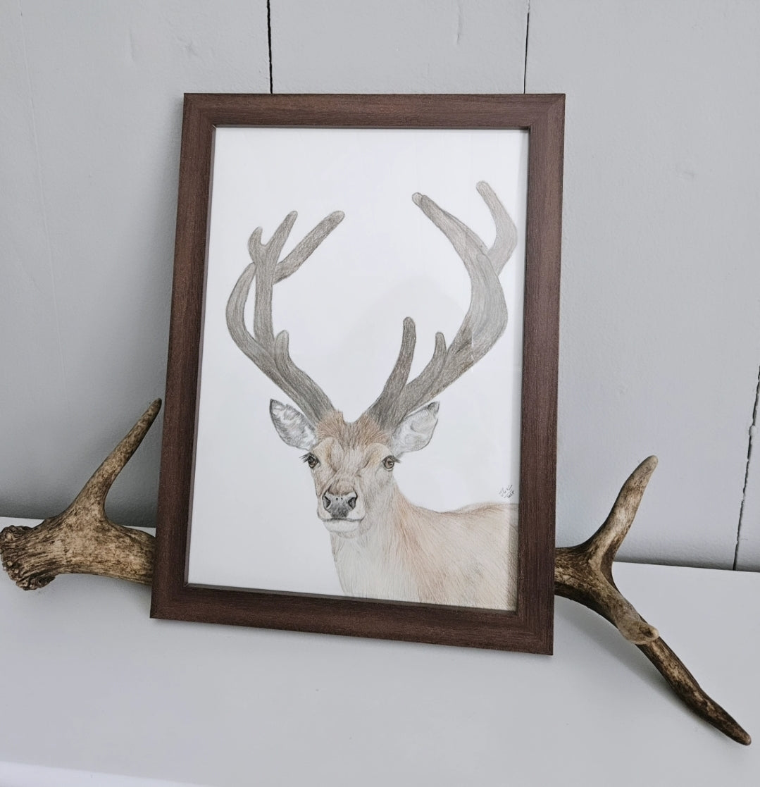 Velvet Stag - original artwork