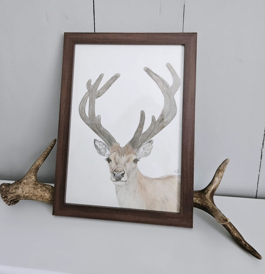 Velvet Stag - original artwork