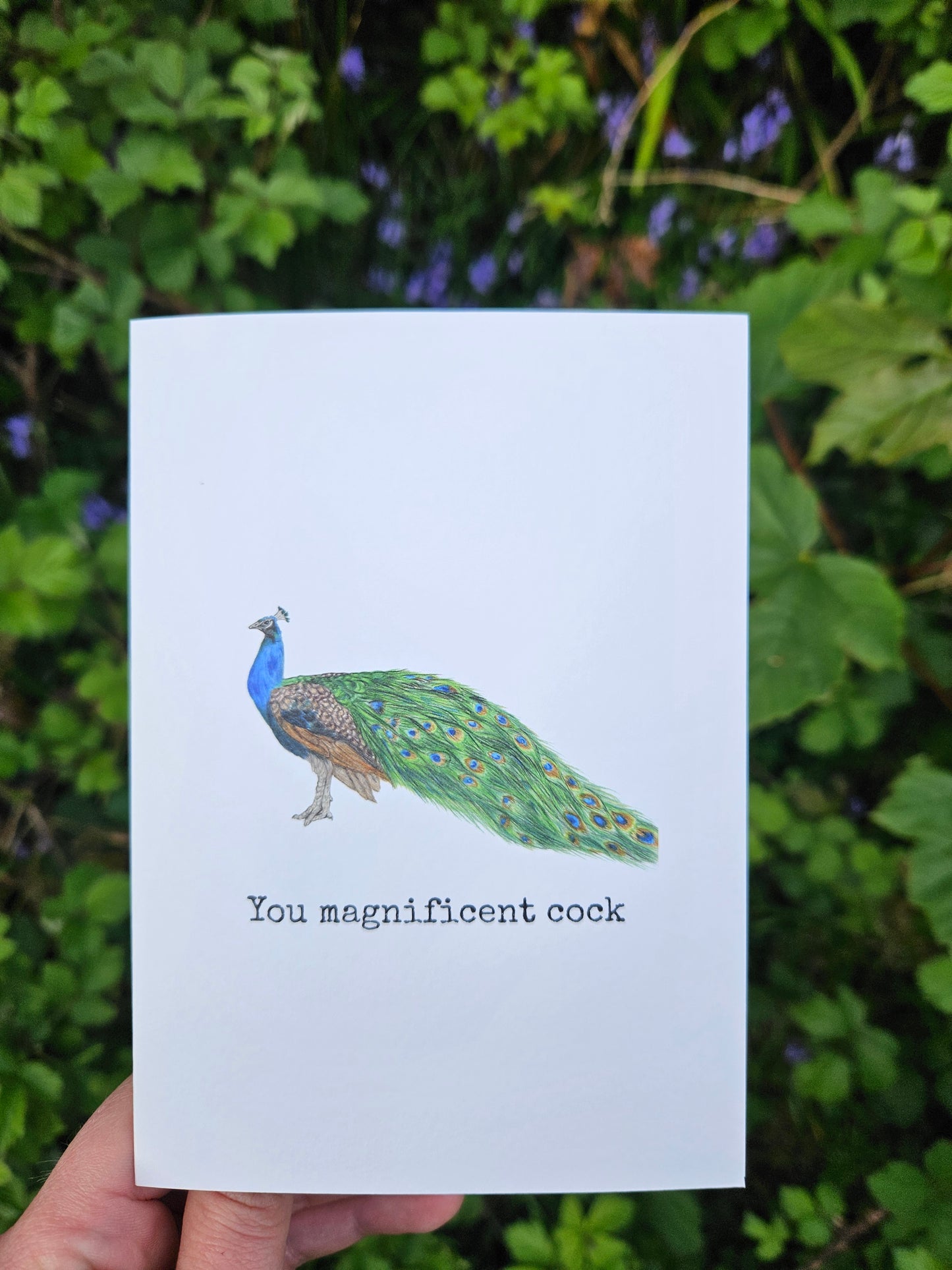 You magnificent cock - Luxury Greetings Card