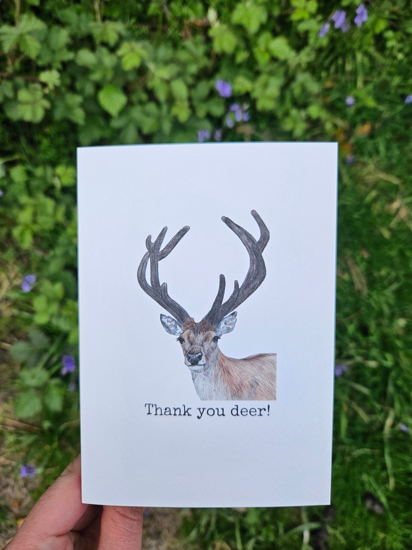 Thank you deer! Luxury Greetings Card