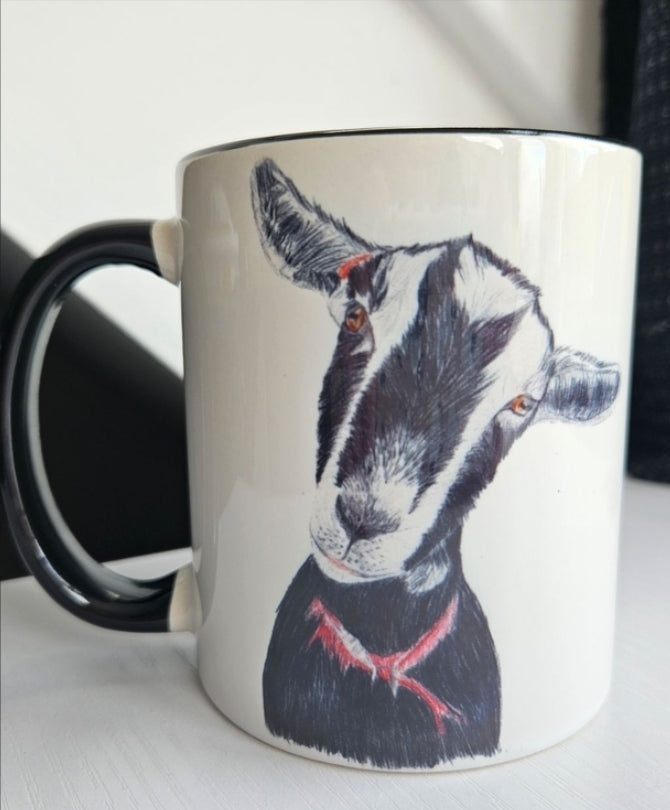 11oz Coloured Mugs