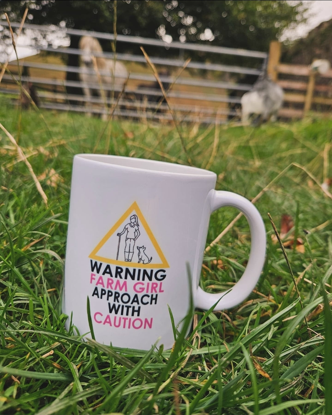 11oz Coloured Mugs