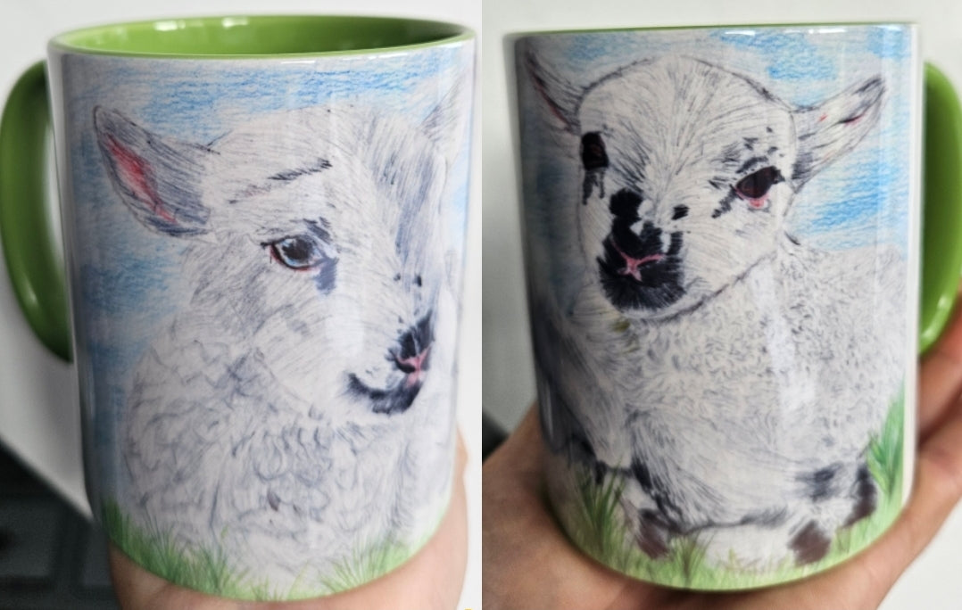 11oz Coloured Mugs