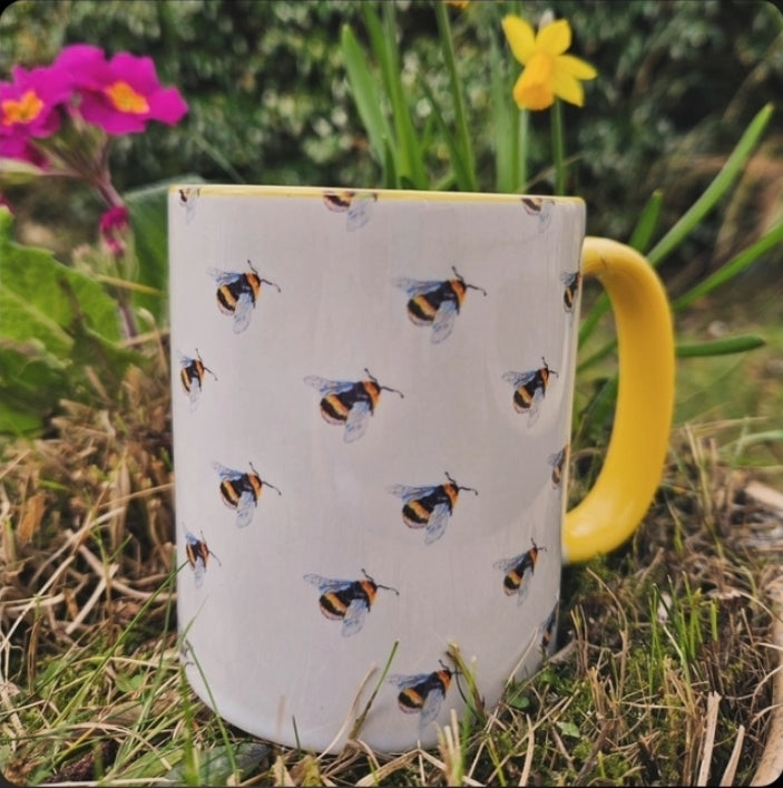 11oz Coloured Mugs