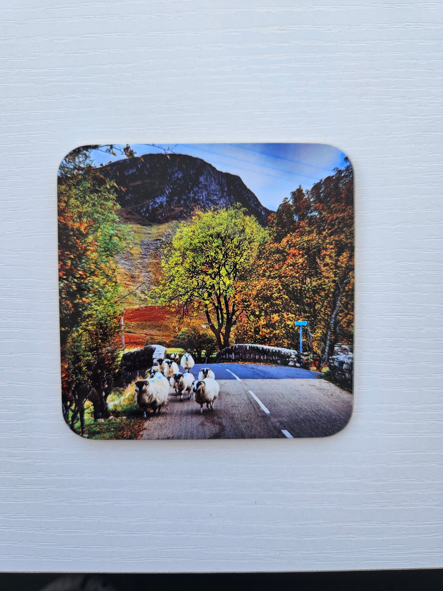 Lochranza Views Coasters