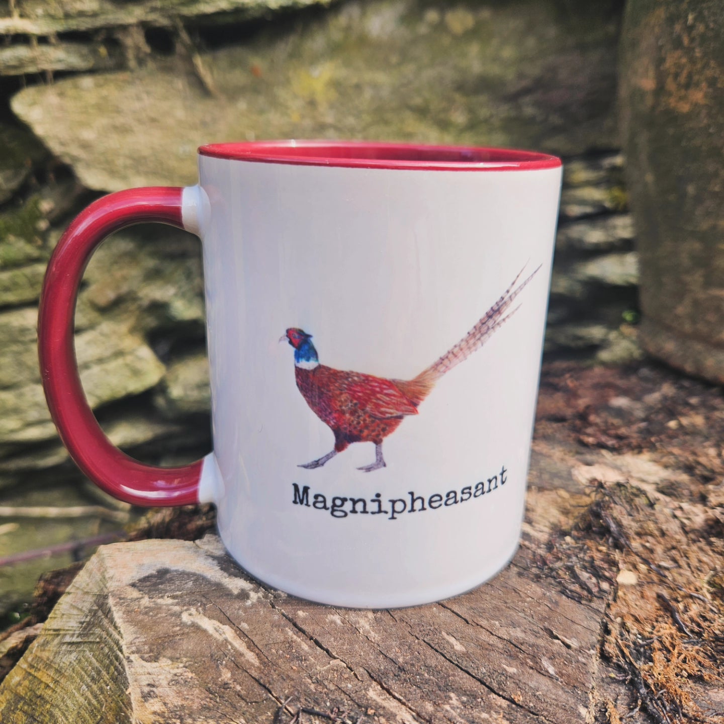 11oz Coloured Mugs