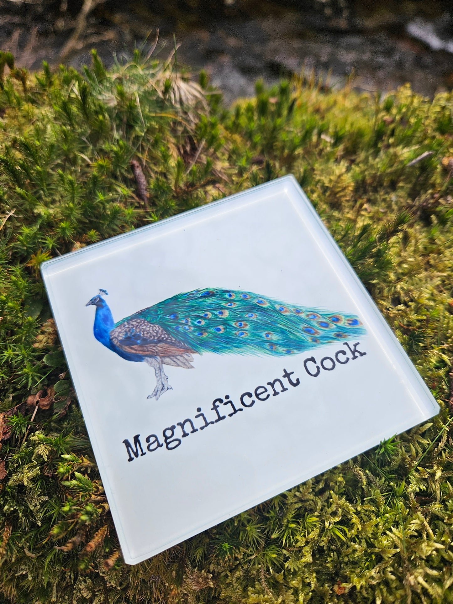 Glass Coasters